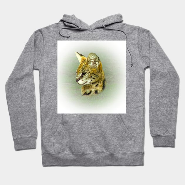 Serval portrait Hoodie by Guardi